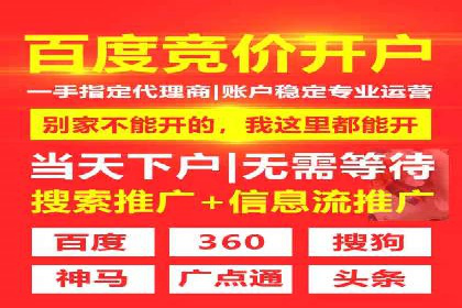 某企业SEM广告投放的转化率提升秘诀